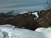 51 Vista verso Monte Poieto, Alben ed Arera